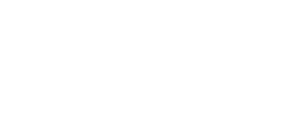 Shega Intelligence